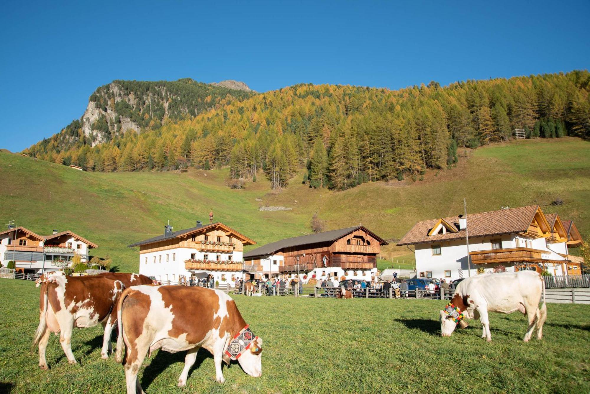 Mooserhof Campo Tures Exterior foto